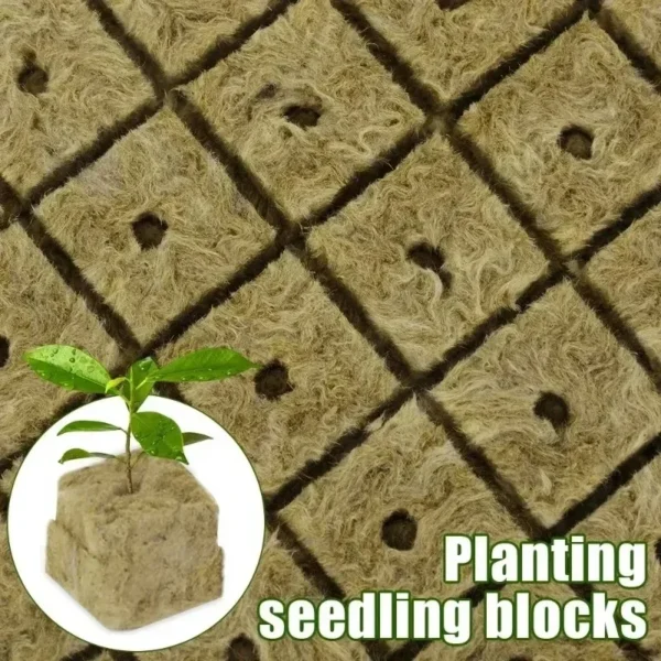 600/50x Rockwool Cubes Rockwool Grow Cubes Starter Plugs for Seed Starter Soilless Cultivation Hydroponics Plant Propagation