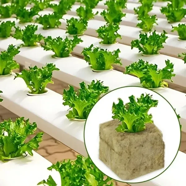 600/50x Rockwool Cubes Rockwool Grow Cubes Starter Plugs for Seed Starter Soilless Cultivation Hydroponics Plant Propagation