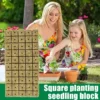 600/50x Rockwool Cubes Rockwool Grow Cubes Starter Plugs for Seed Starter Soilless Cultivation Hydroponics Plant Propagation