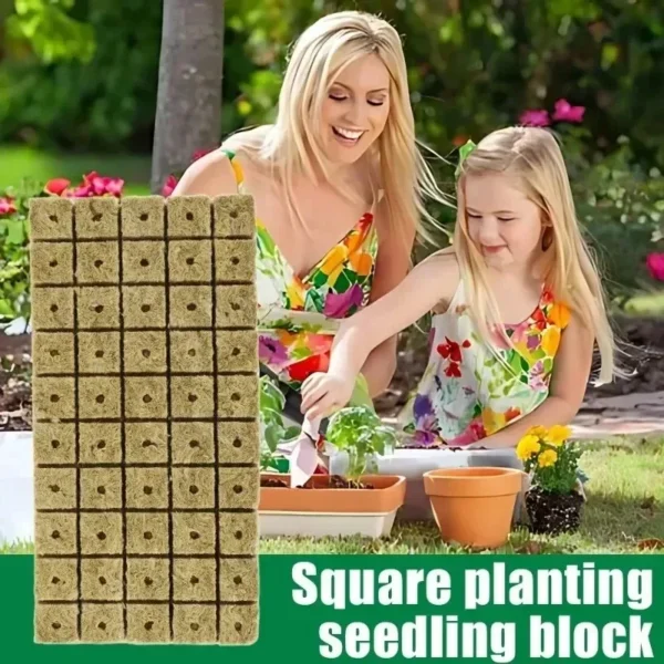 600/50x Rockwool Cubes Rockwool Grow Cubes Starter Plugs for Seed Starter Soilless Cultivation Hydroponics Plant Propagation