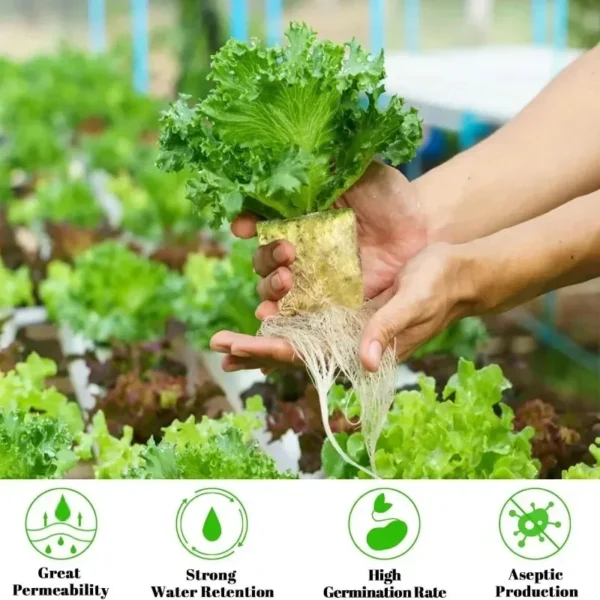 600/50x Rockwool Cubes Rockwool Grow Cubes Starter Plugs for Seed Starter Soilless Cultivation Hydroponics Plant Propagation