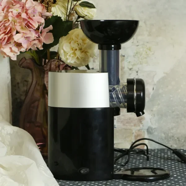 Big Boss Swirlio Automatic Frozen Fruit Dessert Machine Fruit Ice Cream Machine Maker Milkshake Machine