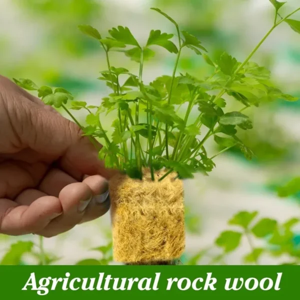 Sponge Block Starter Plugs Rock Wool Grow Cubes Seed Starters Planting Cubes Hydroponics Cuttings Plant Propagation Grow Supply