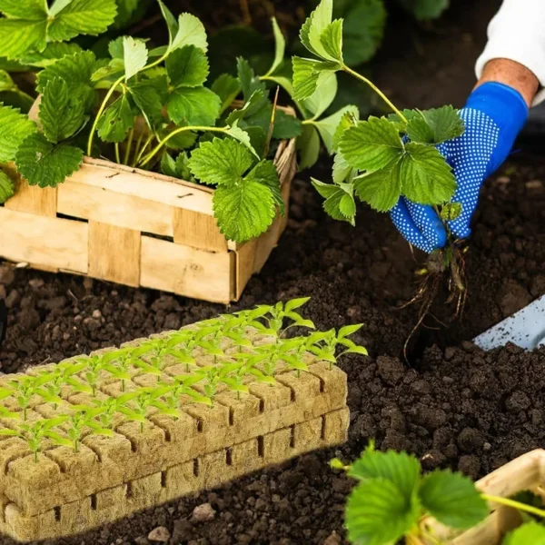 Sponge Block Starter Plugs Rock Wool Grow Cubes Seed Starters Planting Cubes Hydroponics Cuttings Plant Propagation Grow Supply