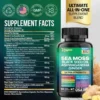 Sea Moss Blend, 19,445 MG All-in-One Formula with over 15+ Super Ingredients, Extra Strength & High Potency